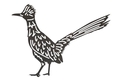 Greater Roadrunner DXF File