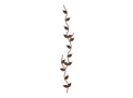 Winding Vine DXF File
